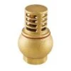 40MM BRASS FOOT VALVE